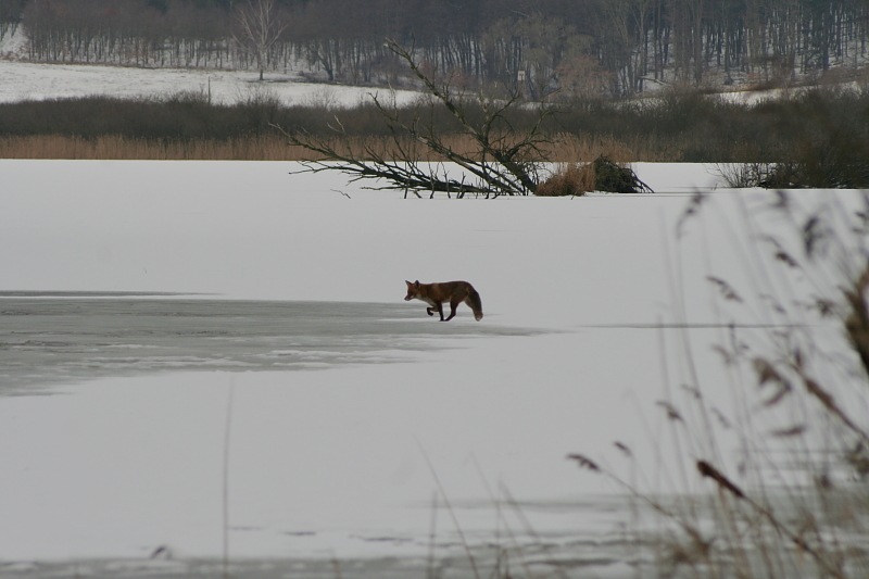 Killikus&reg; Fotographie
